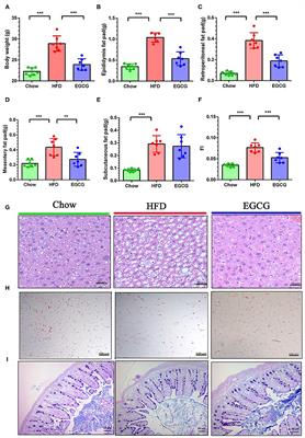 Epigallocatechin Gallate (EGCG) Promotes the Immune Function of Ileum in High Fat Diet Fed Mice by Regulating Gut Microbiome Profiling and Immunoglobulin Production